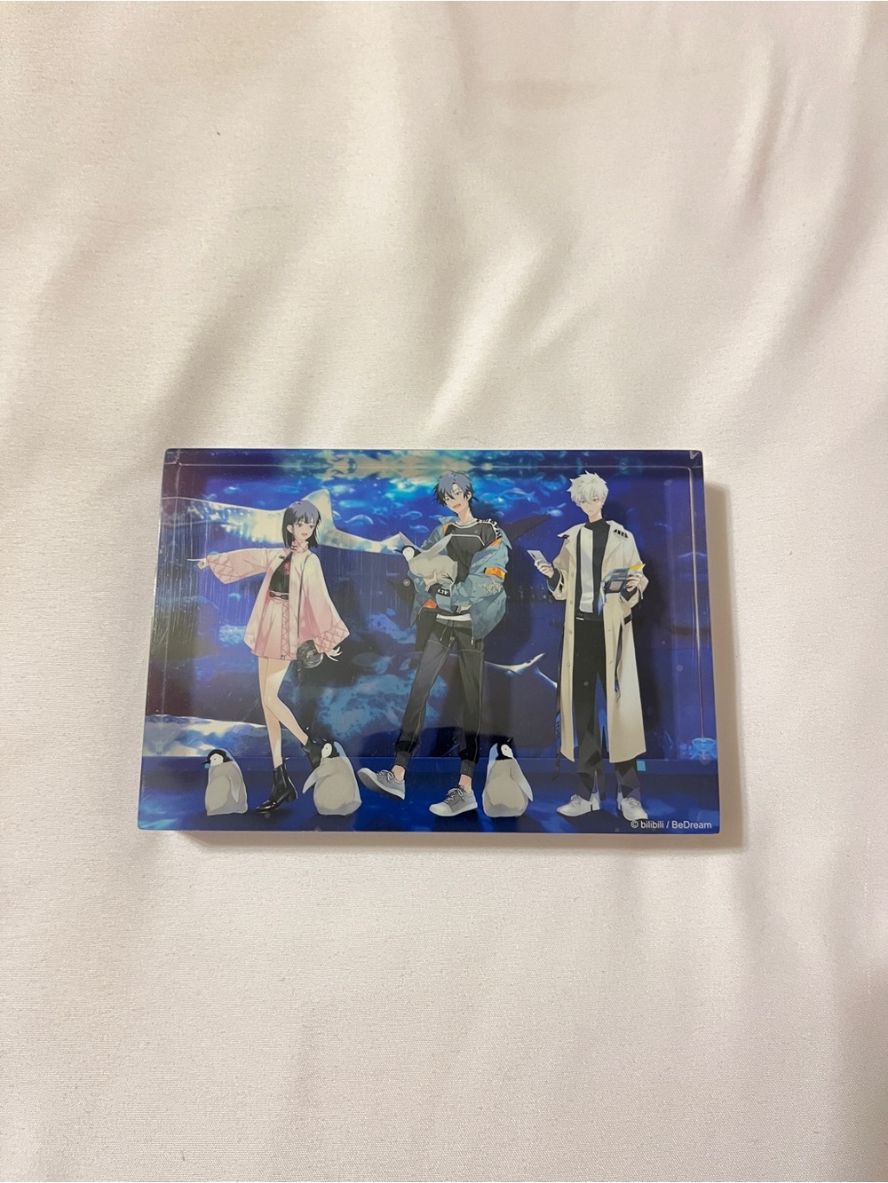 Blue Anime Character Acrylic Art Print Panel